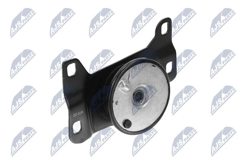 Paigutus, Mootor, NTY ZPS-FR-052