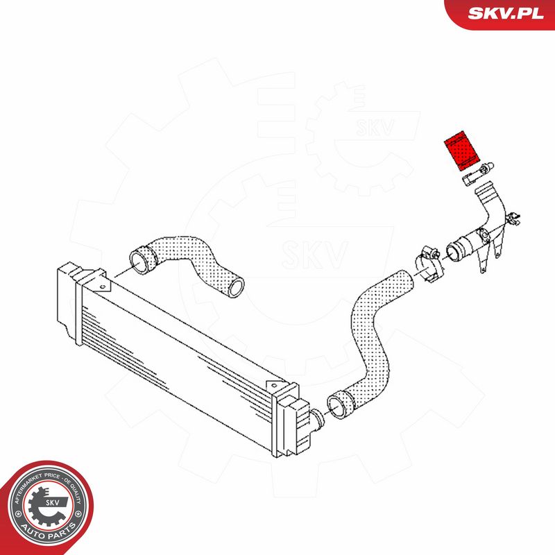 ESEN SKV 43SKV441 Charge Air Hose