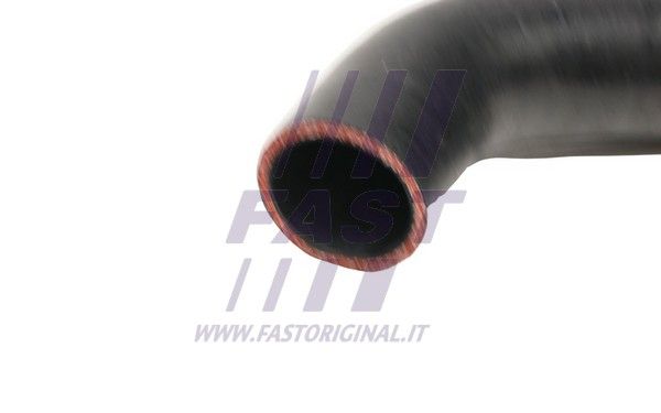 FT65138_3_1.JPG