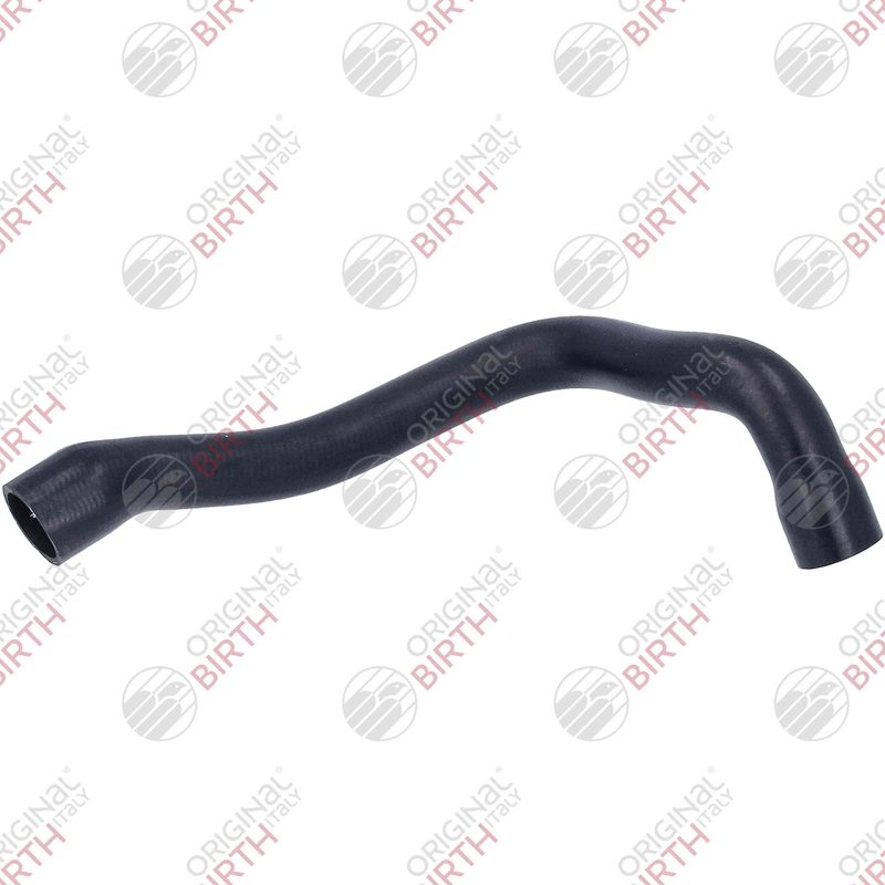BIRTH 55298 - Radiator Hose