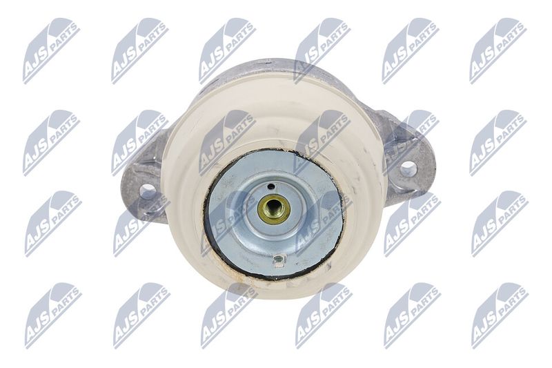 Paigutus, Mootor, NTY ZPS-ME-038