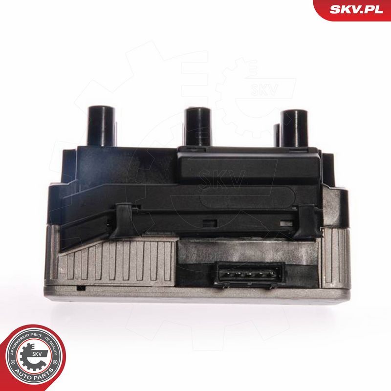 ESEN SKV 03SKV049 Ignition Coil