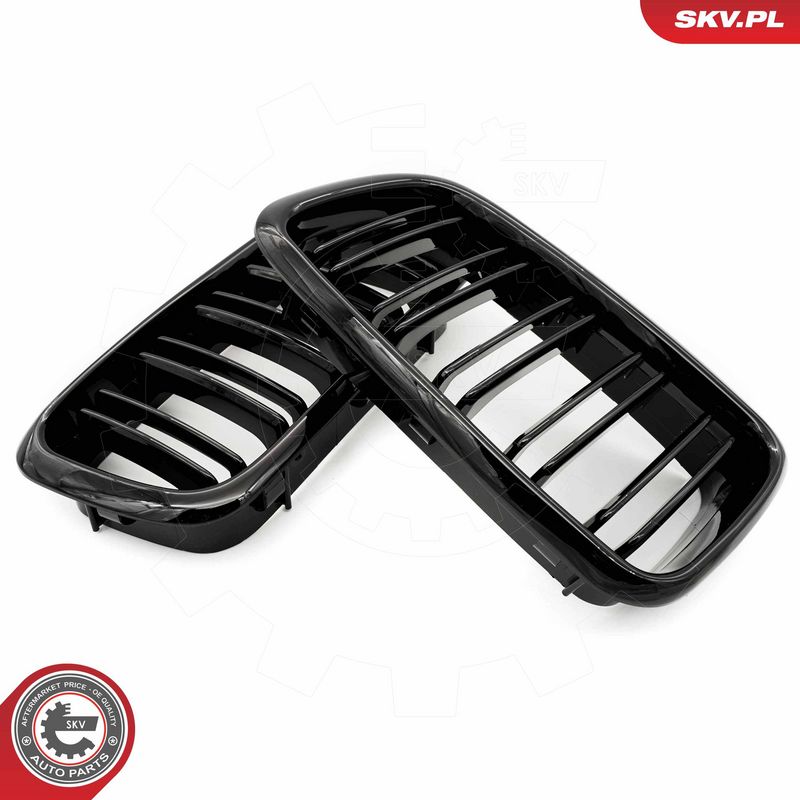 Radiaatorivõre, ESEN SKV 66SKV216