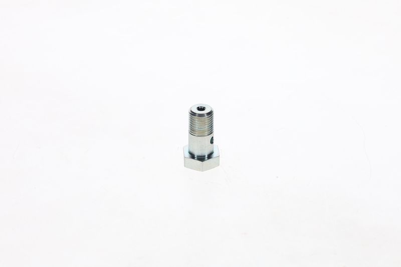 Surub 1 413 456 001 BOSCH