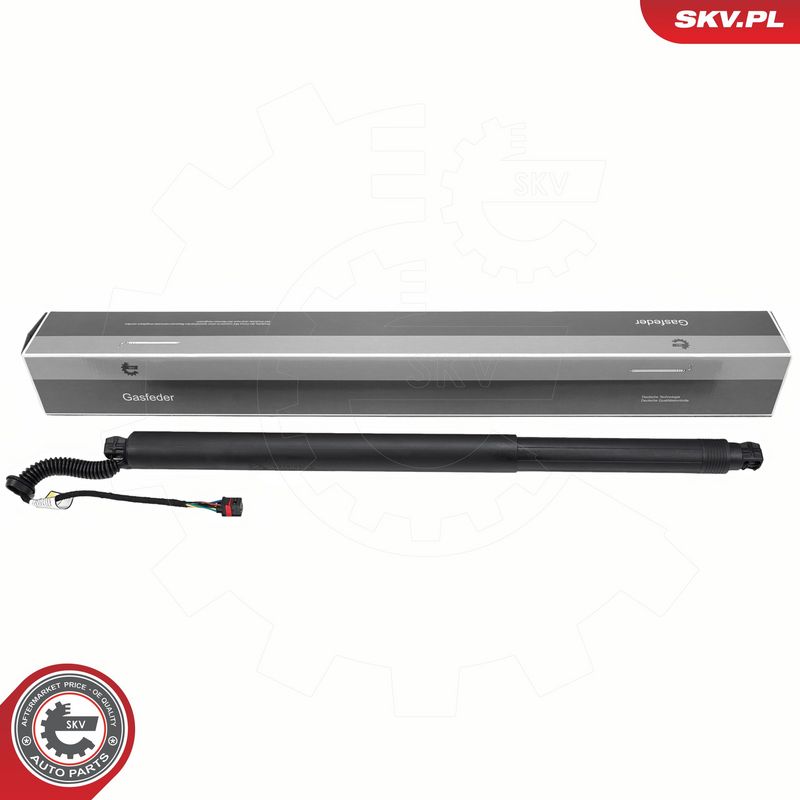 Elektrimootor, tagaluuk, ESEN SKV 52SKV238