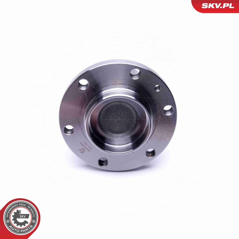 ESEN SKV 29SKV374 Rato guolio komplektas