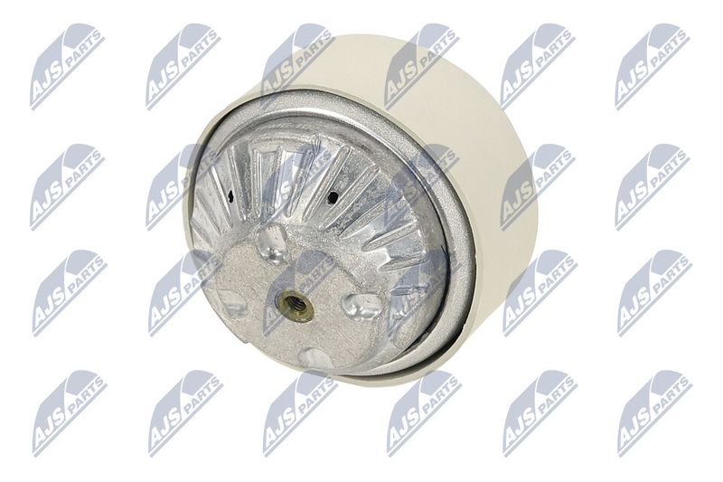 Paigutus, Mootor, NTY ZPS-ME-102