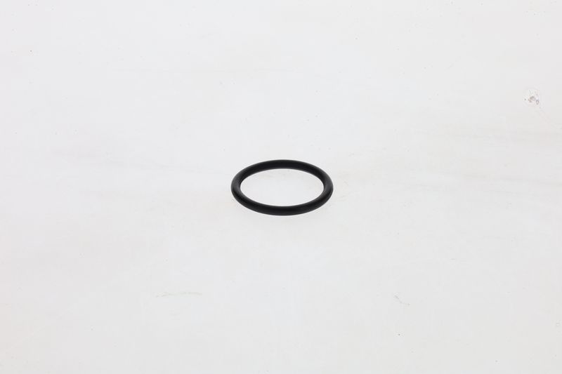 Inel cauciuc 1 460 210 306 BOSCH