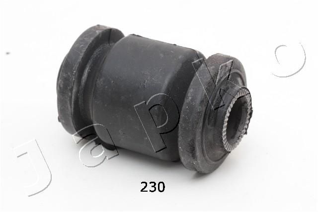 GOJ230_1.JPG