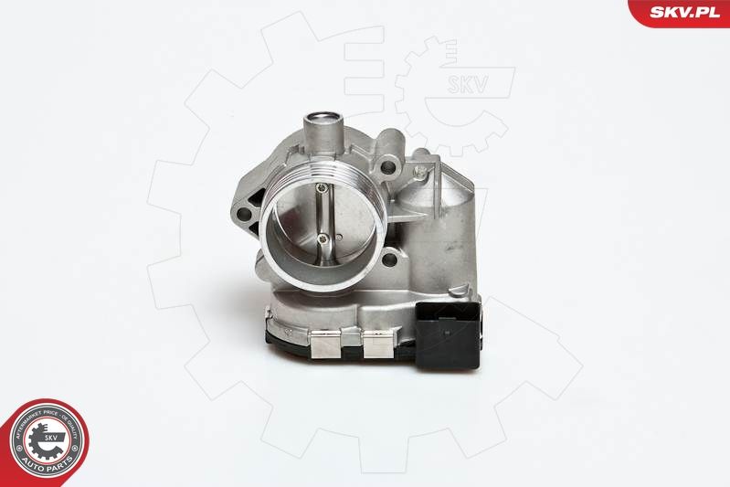 ESEN SKV 12SKV001 Throttle Body