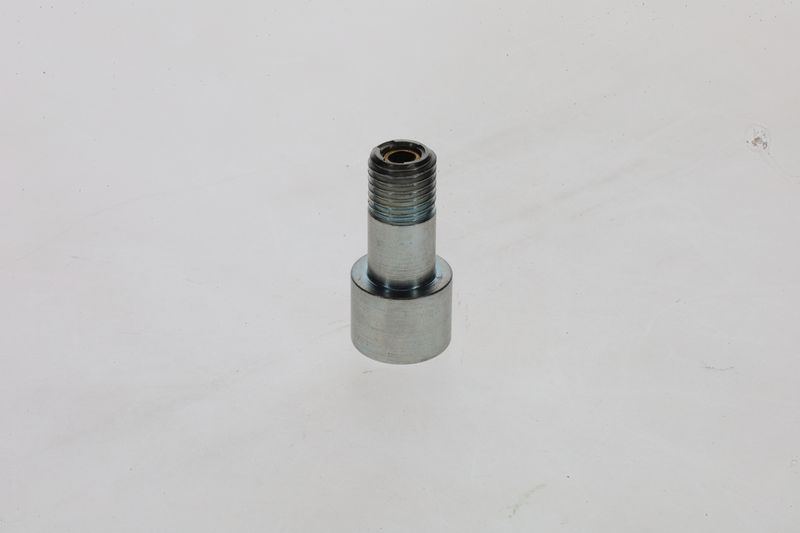 Surub 1 463 456 376 BOSCH