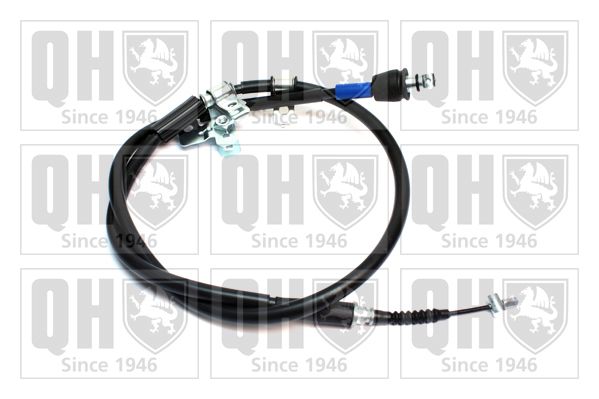 QH_BC3710.JPG