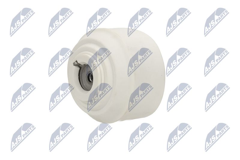 Paigutus, Mootor, NTY ZPS-ME-109