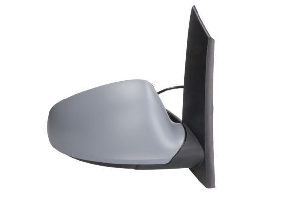 BLIC 5402-04-1121594P Exterior Mirror