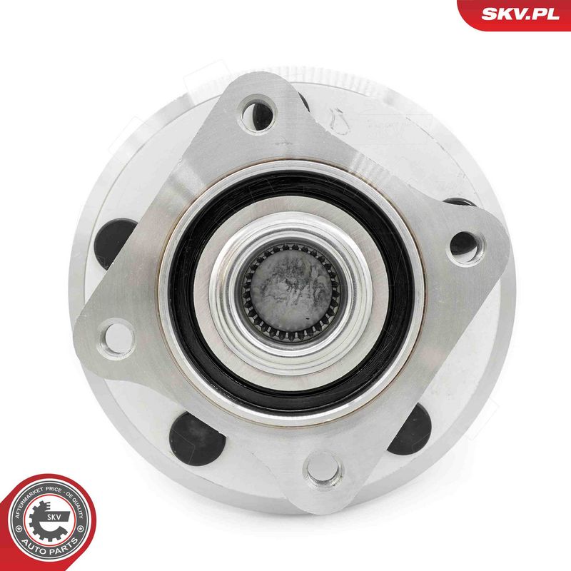 ESEN SKV 29SKV561 Wheel Bearing Kit