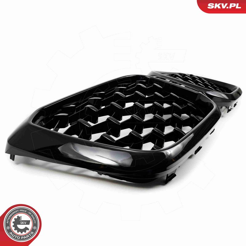ESEN SKV 66SKV269 Radiator Grille