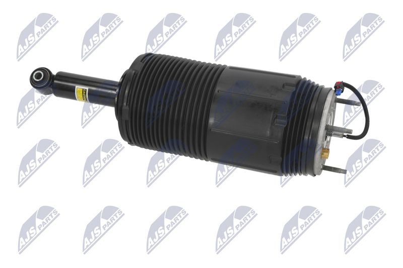 Amort, NTY A-CH-099