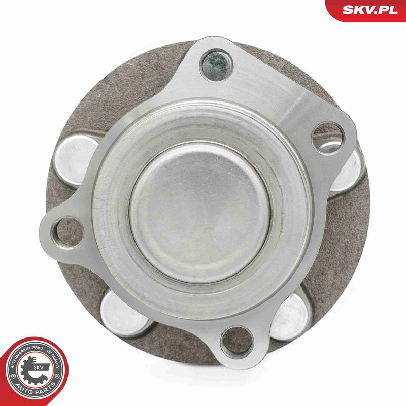 ESEN SKV 29SKV642 Wheel Bearing Kit