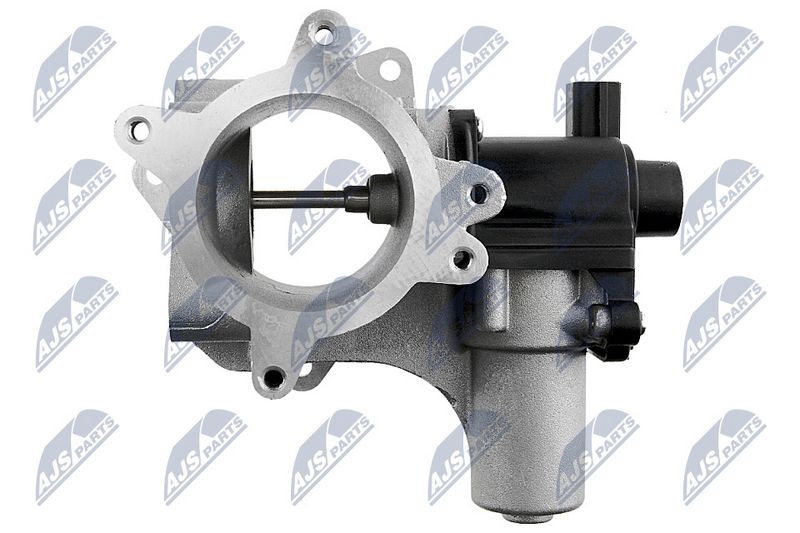 egr-vw-003_3-wm.JPG