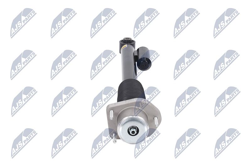 Amort, NTY A-LR-020