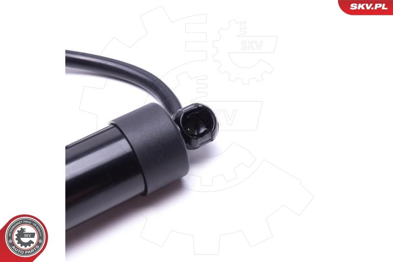 ESEN SKV 52SKV919 Electric Motor, tailgate