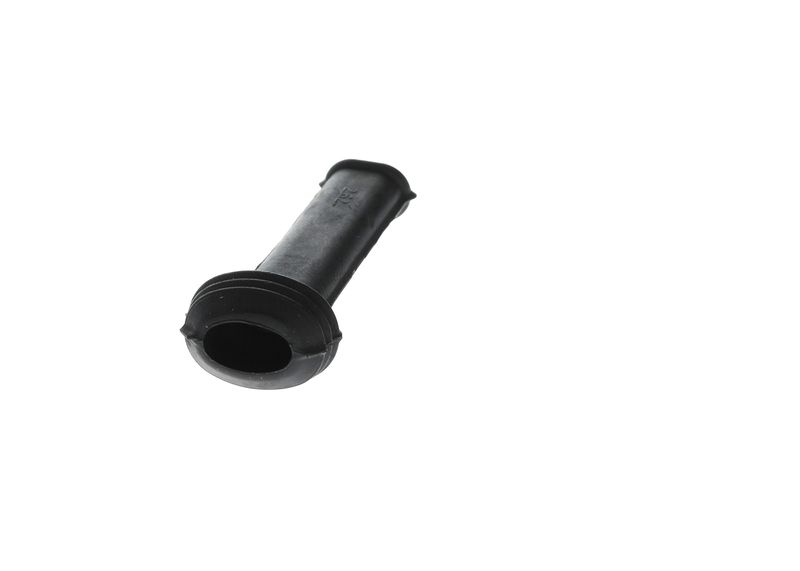 Capac 1 250 703 001 BOSCH