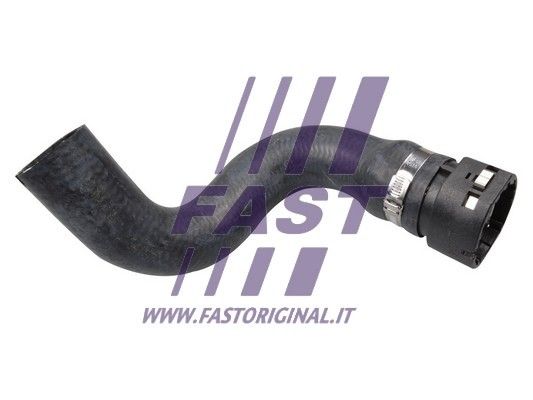FT61402_1_1.JPG