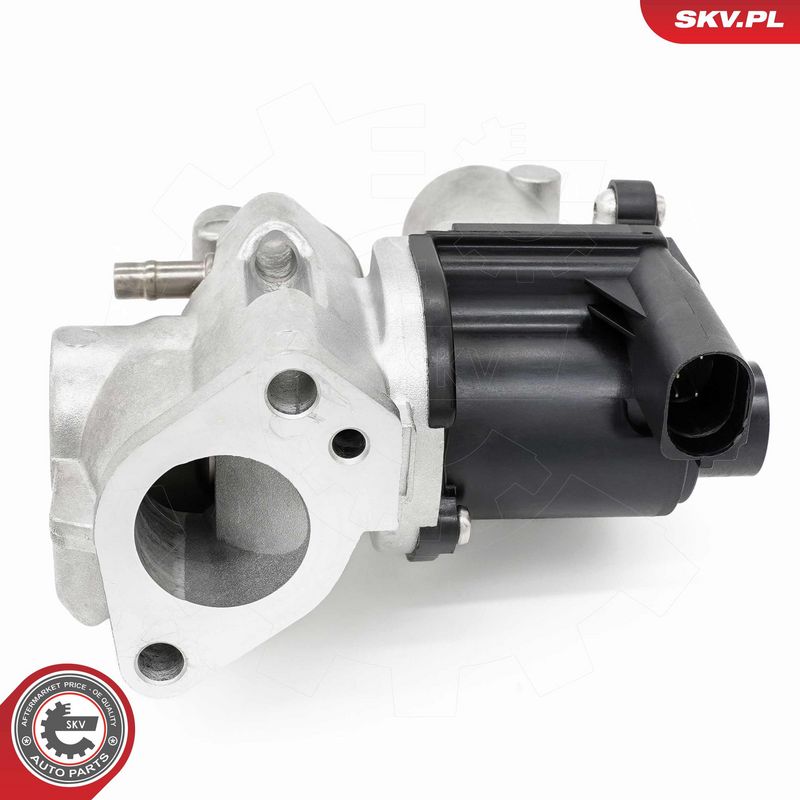 EGR-klapp, ESEN SKV 14SKV253