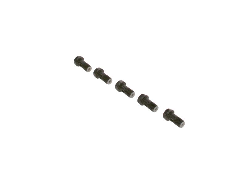 Surub F 019 D01 024 BOSCH