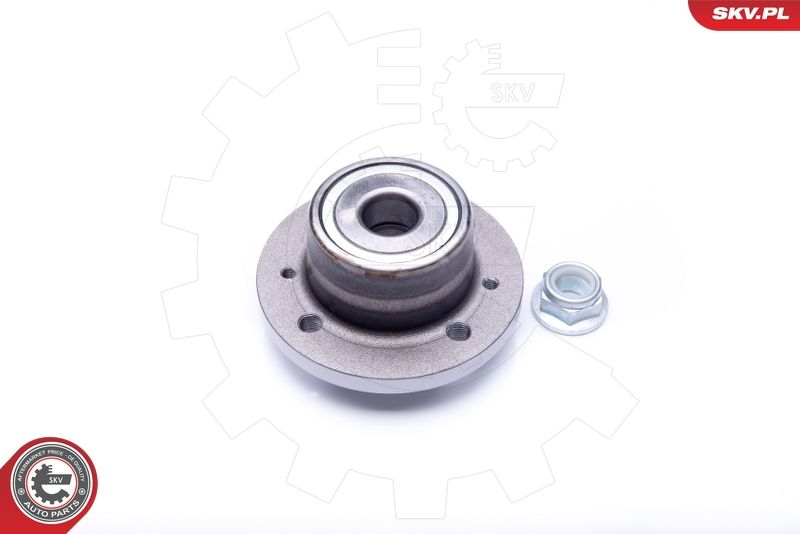 ESEN SKV 29SKV196 Wheel Bearing Kit