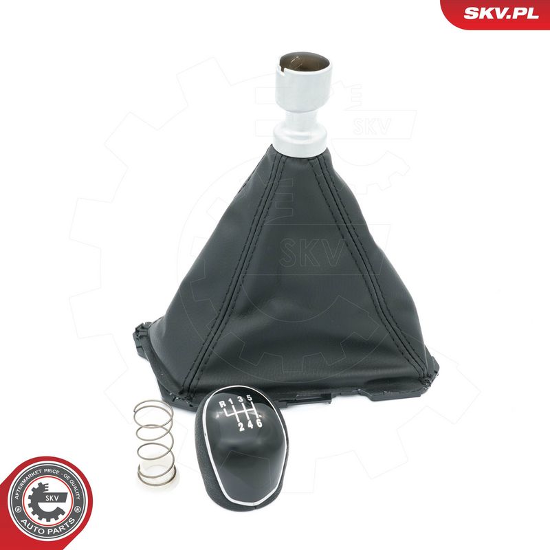 Käigukanginupp, ESEN SKV...