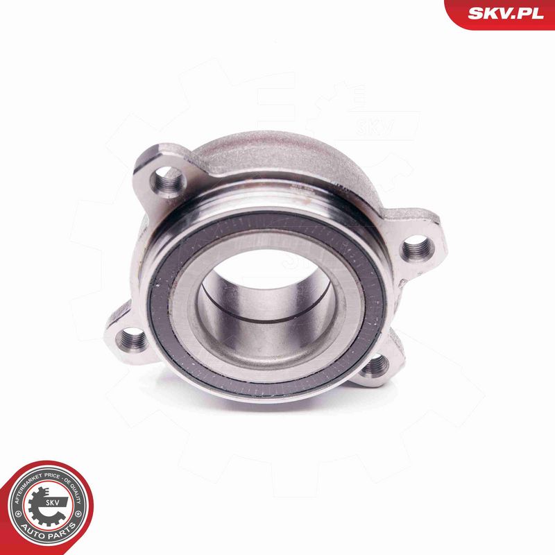 ESEN SKV 29SKV125 Wheel Bearing Kit