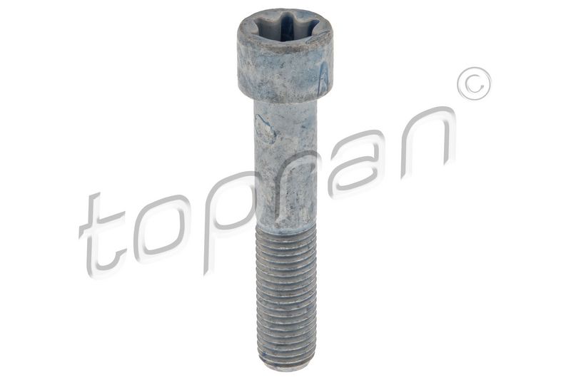 TOPRAN 411 095 Schraube