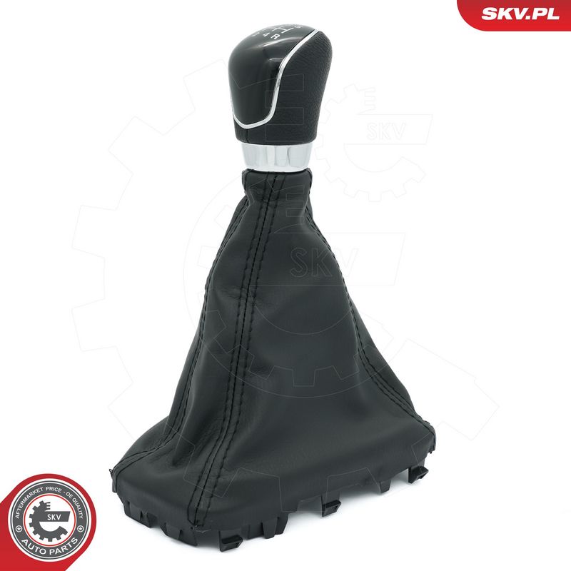 Käigukanginupp, ESEN SKV...