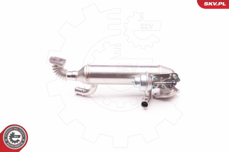 ESEN SKV 14SKV119 EGR Valve