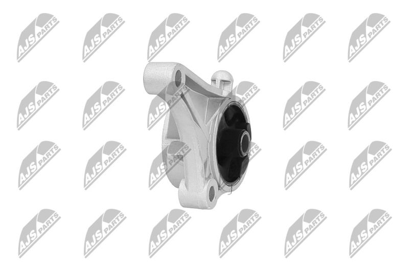 Paigutus, Mootor, NTY ZPS-PL-012