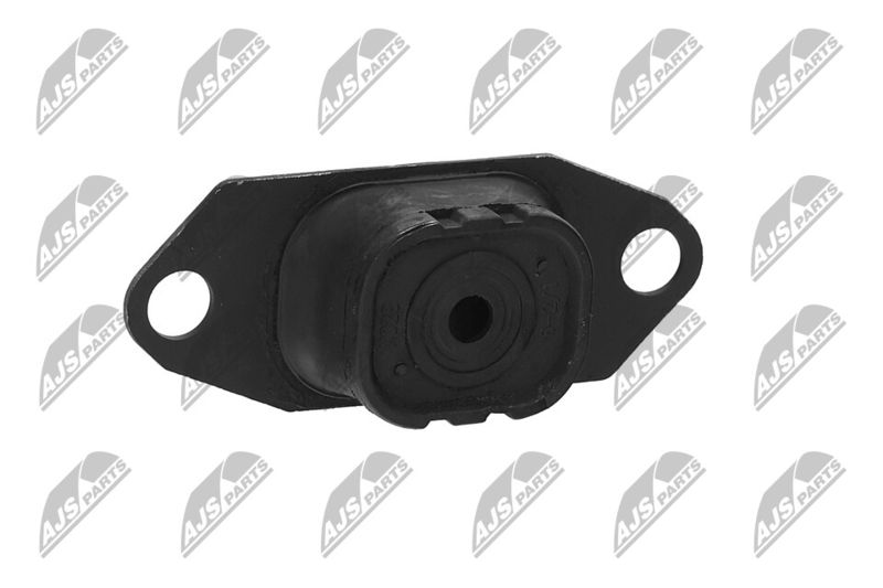 Paigutus, Mootor, NTY ZPS-NS-055