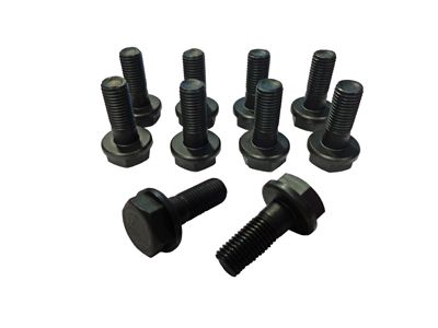 BOLT SET ( 8 PCS ) 01.JPG