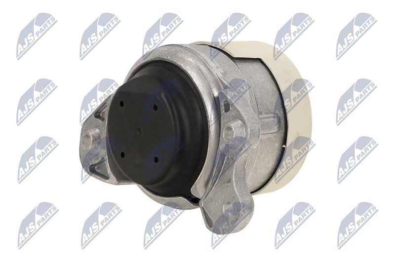 Paigutus, Mootor, NTY ZPS-ME-079