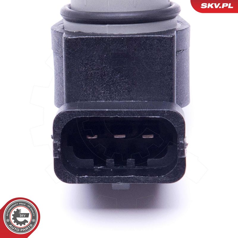 Andur, Nukkvõllipositsioon, ESEN SKV 17SKV496