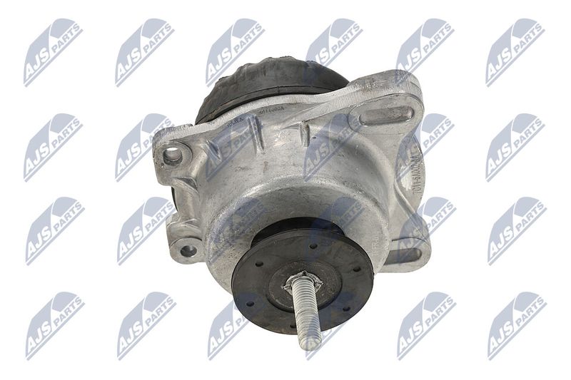 Paigutus, Mootor, NTY ZPS-FR-013