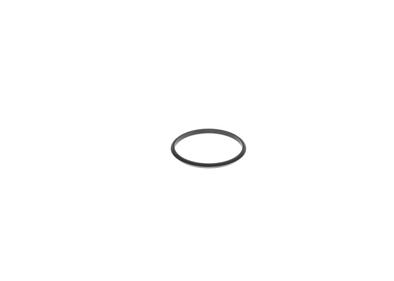 BOSCH F00N202277 Seal