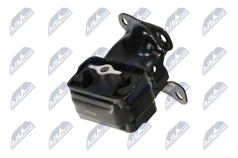 Paigutus, Mootor, NTY ZPS-CH-089