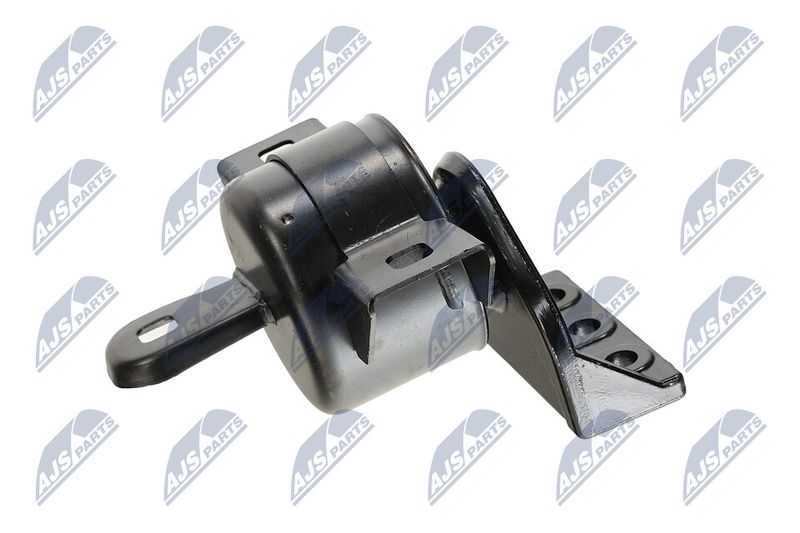 Paigutus, Mootor, NTY ZPS-DW-011