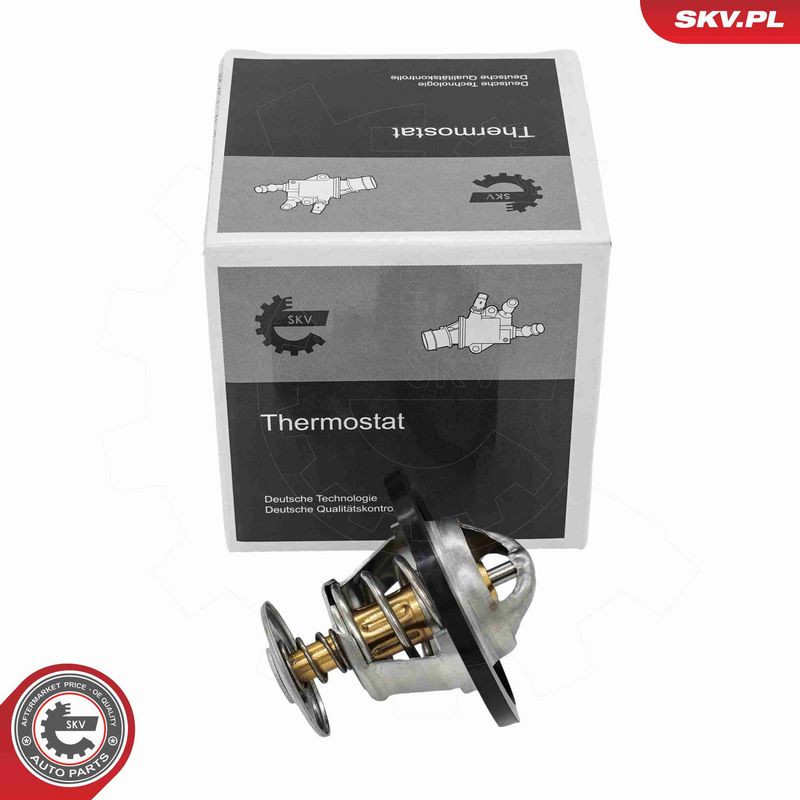 ESEN SKV 20SKV258 - Termostatas