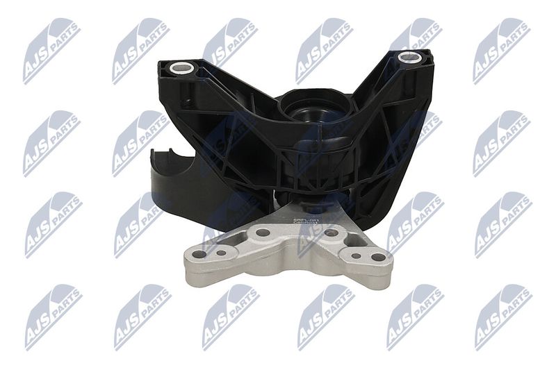 Paigutus, Mootor, NTY ZPS-PL-081