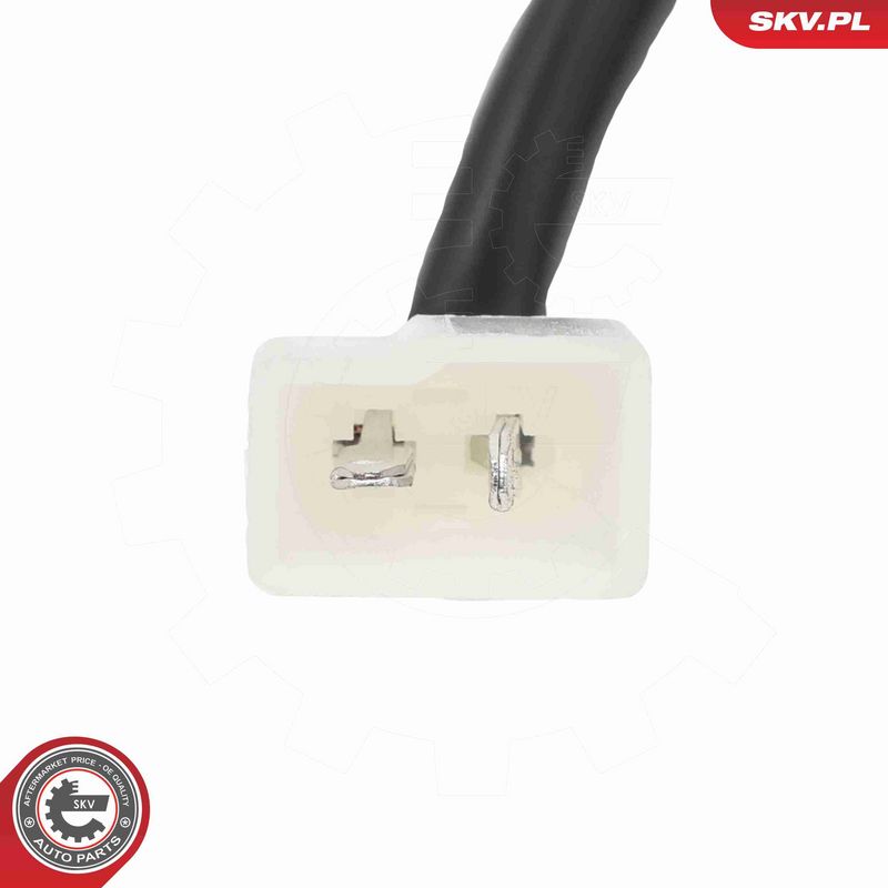 ESEN SKV 15SKV323 Washer Fluid Jet, window cleaning