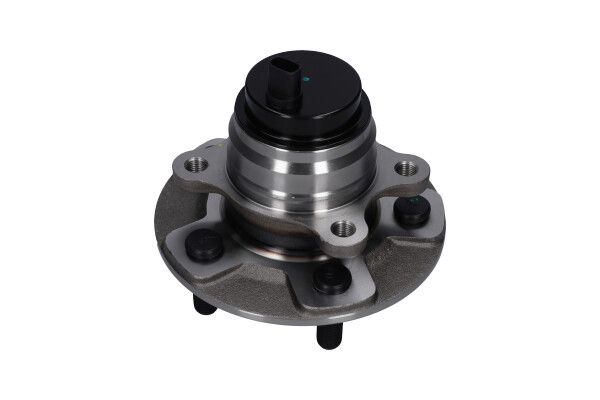 Kavo Parts WBK-10063 - Rato guolio komplektas