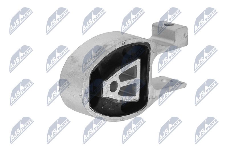 Paigutus, Mootor, NTY ZPS-FR-010