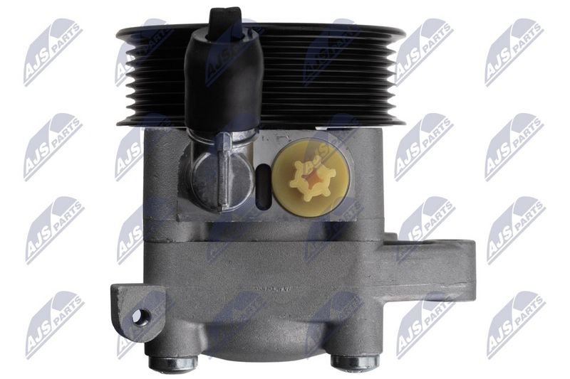 NTY SPW-VC-005 Hydraulic Pump, steering